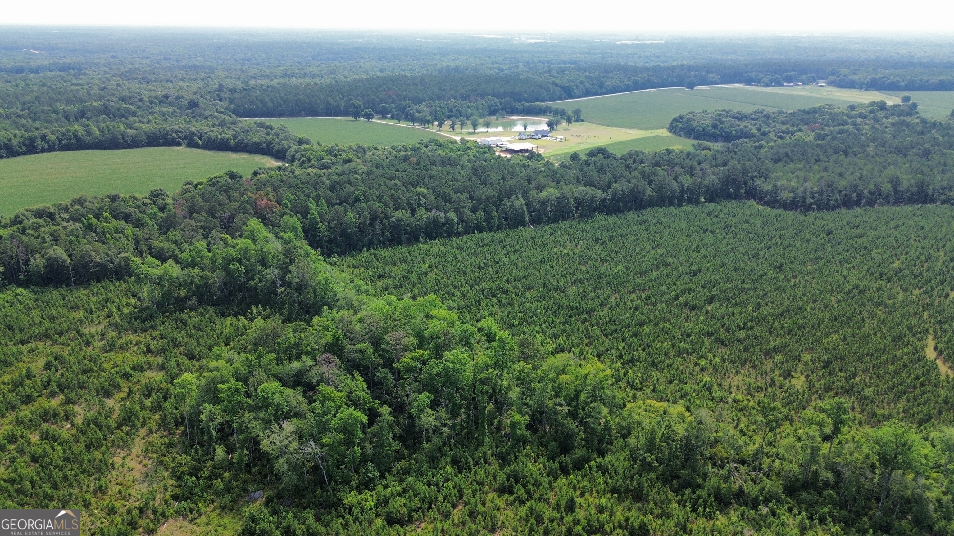 1665 Walke Dairy Road Property Photo 25
