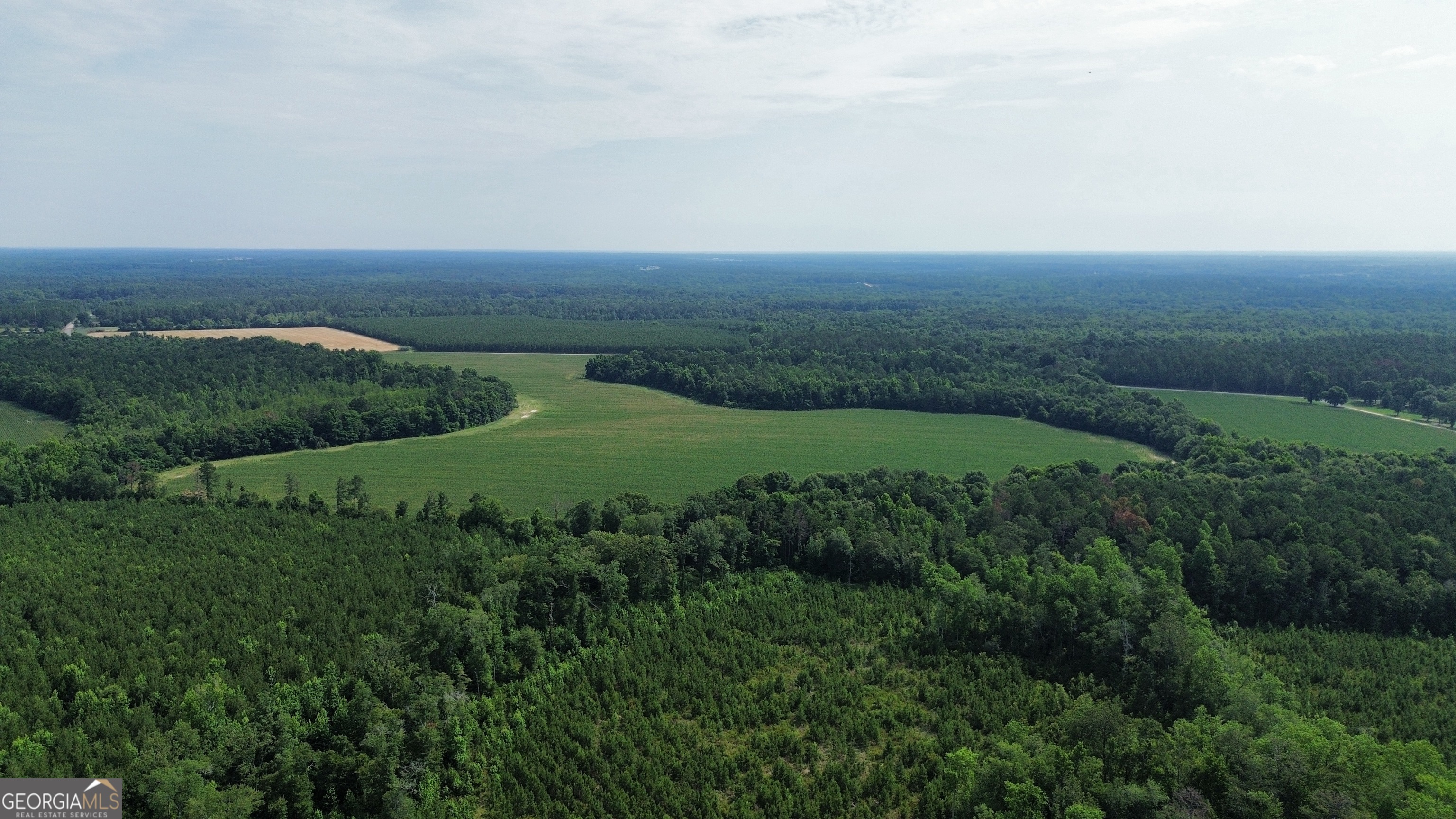 1665 Walke Dairy Road Property Photo 27