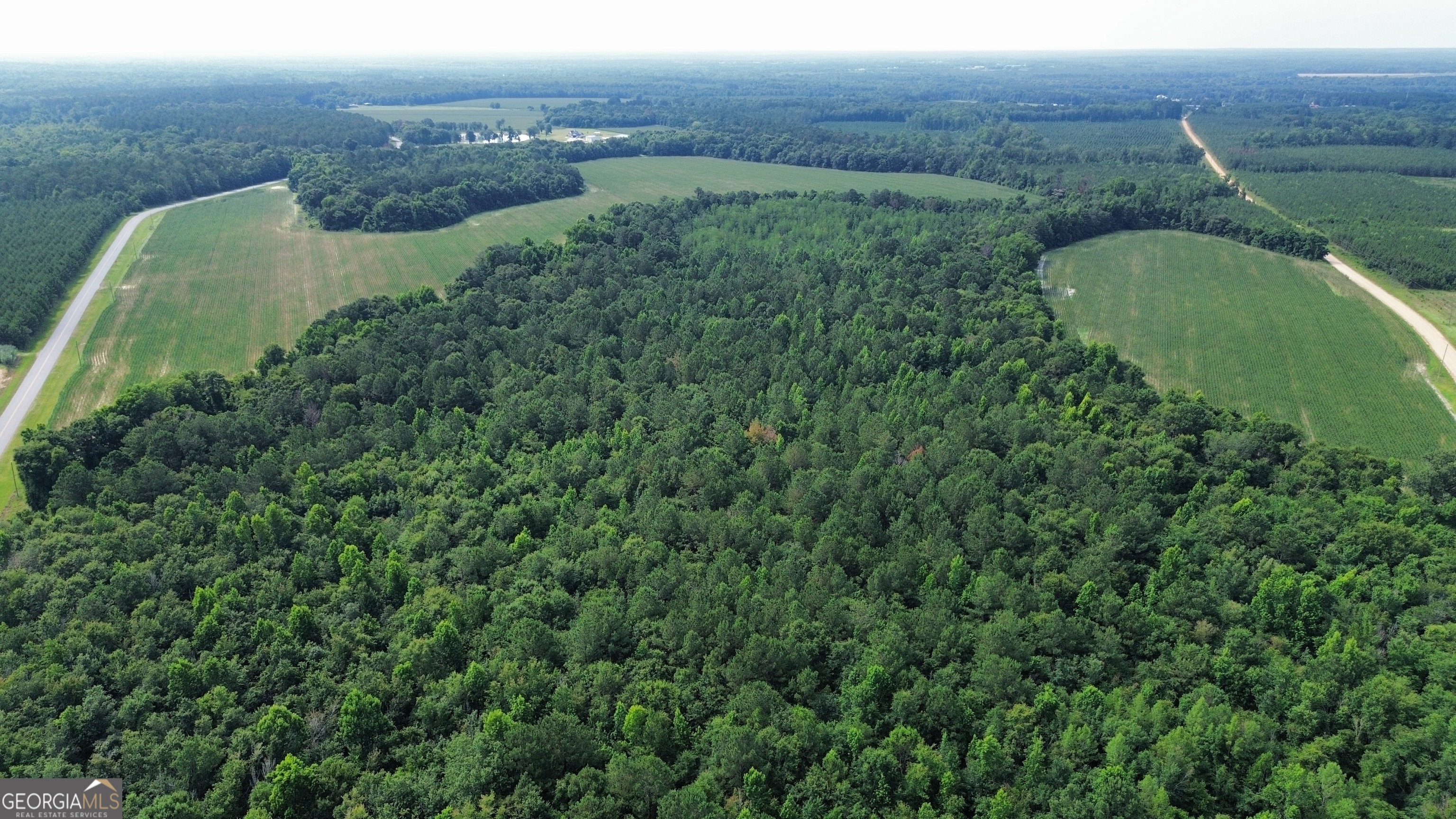 1665 Walke Dairy Road Property Photo 29