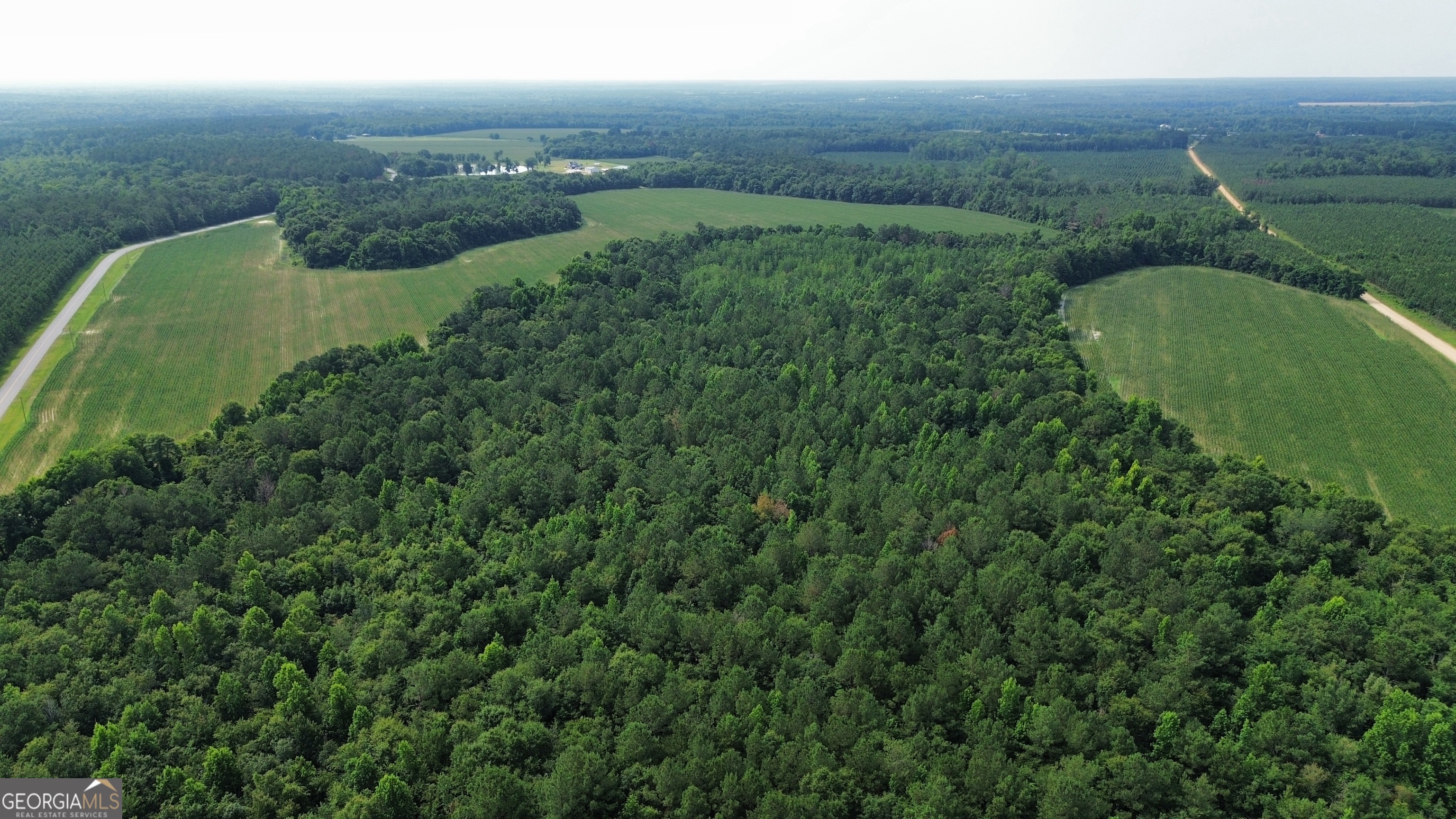 1665 Walke Dairy Road Property Photo 30