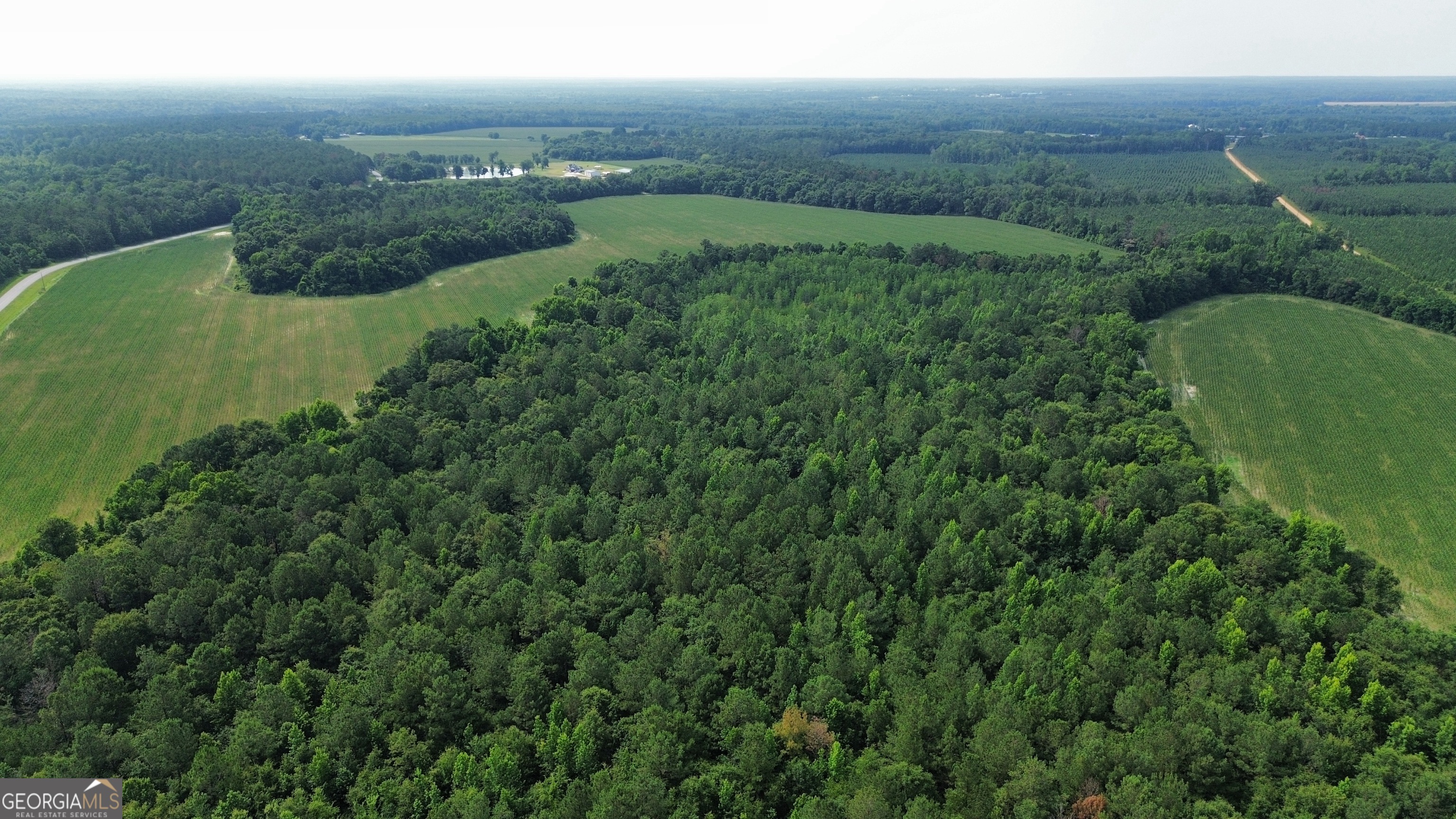 1665 Walke Dairy Road Property Photo 31