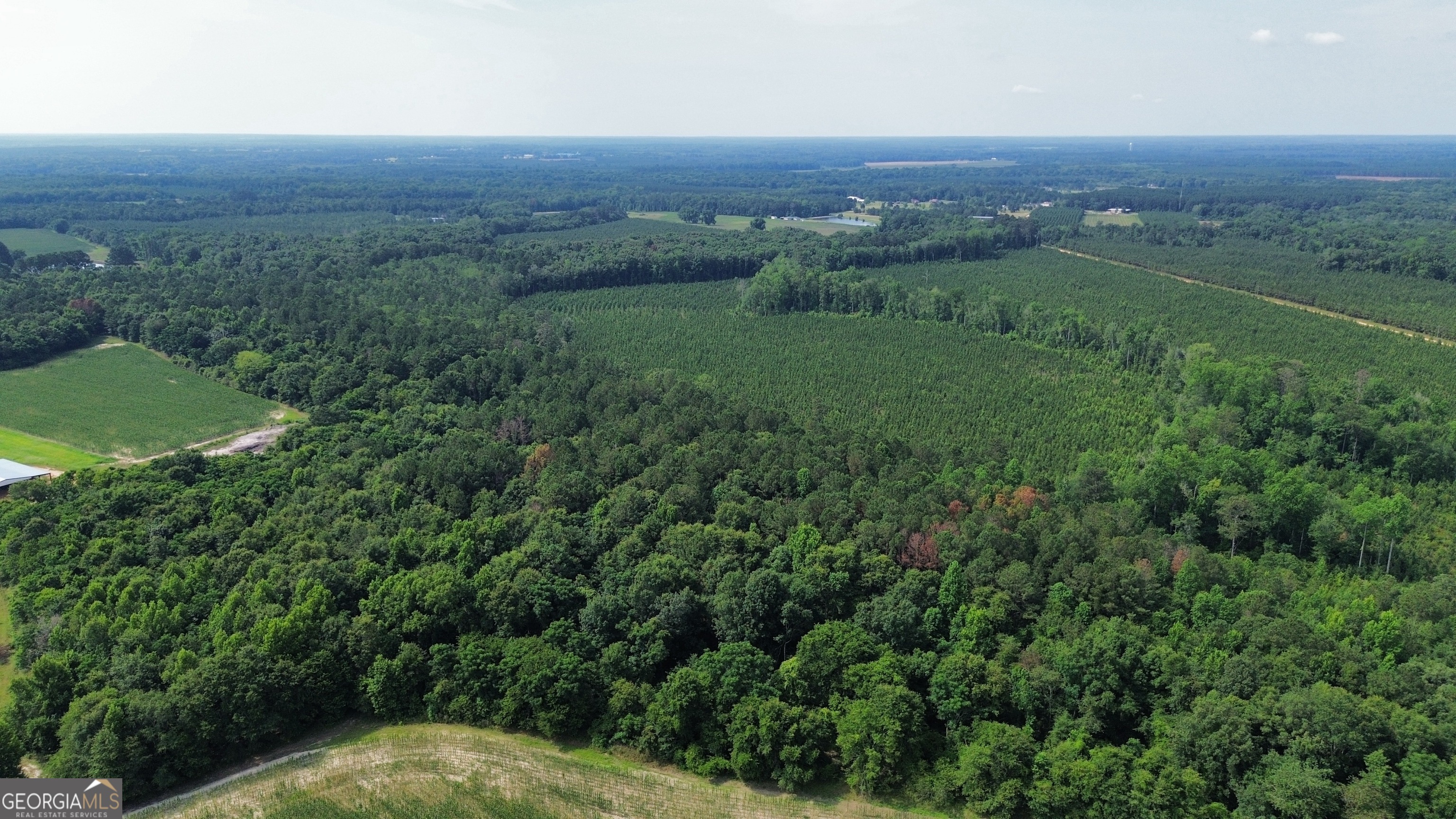 1665 Walke Dairy Road Property Photo 36
