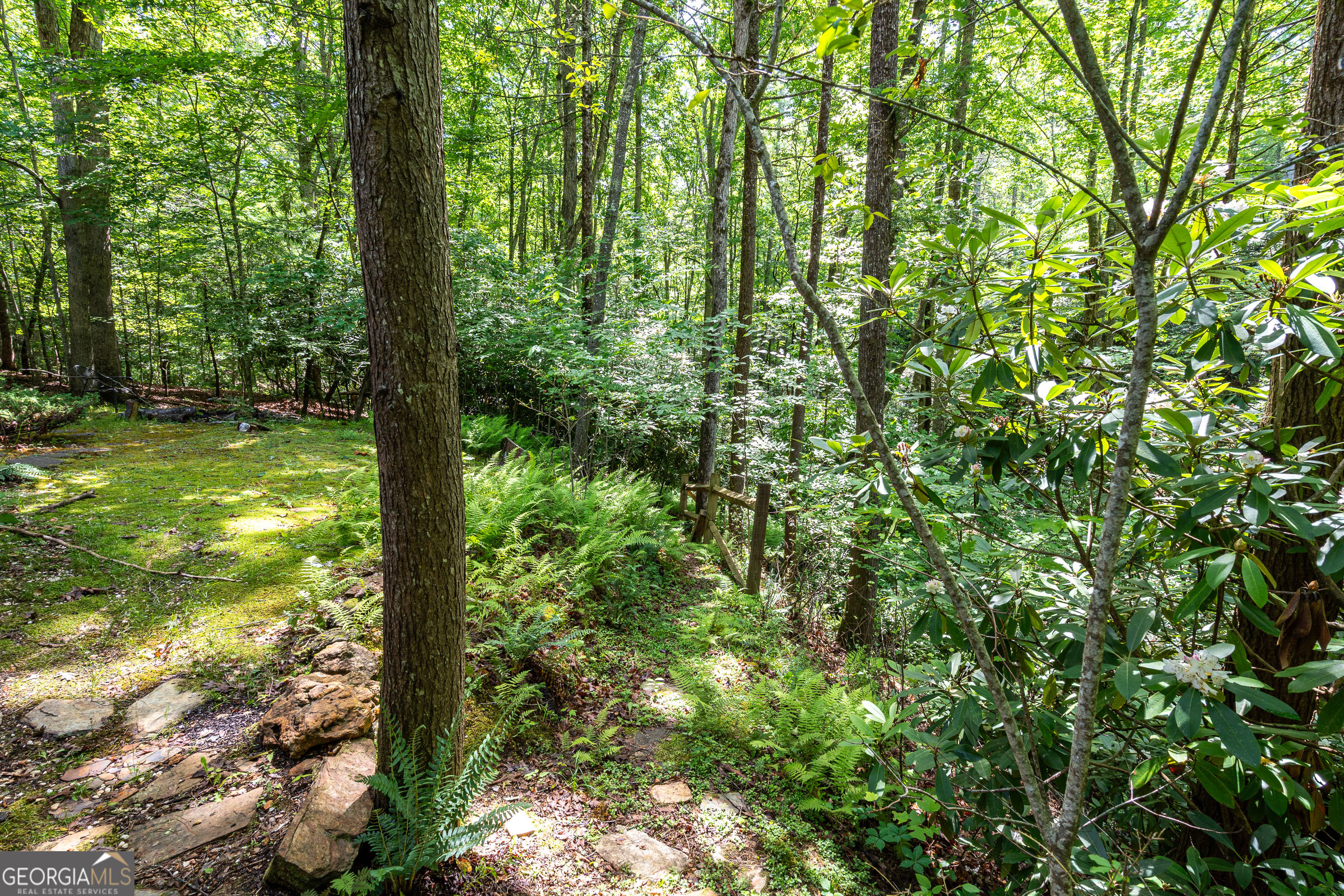 211 Red Oak Forest Lane Property Photo 30
