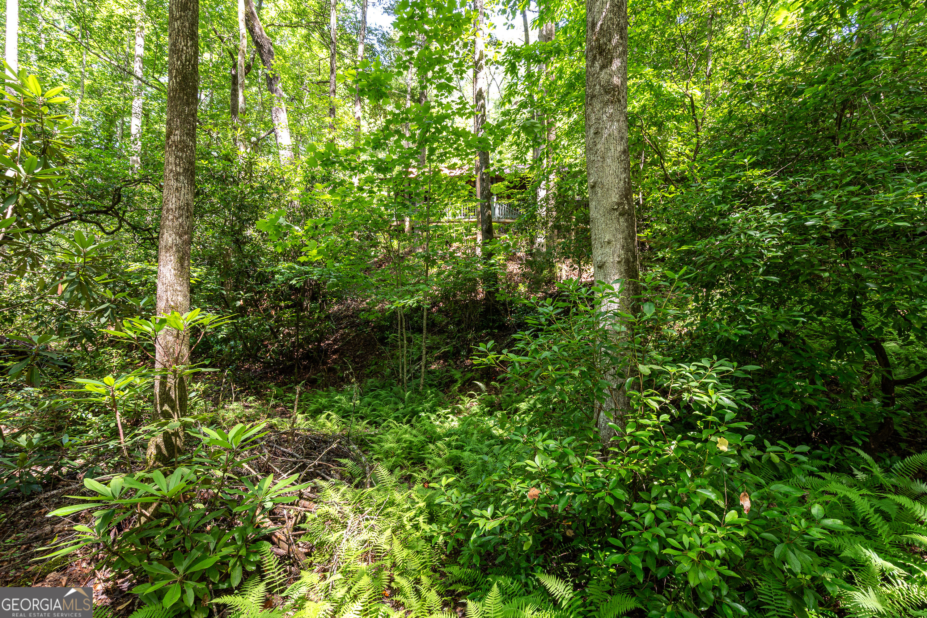 211 Red Oak Forest Lane Property Photo 36