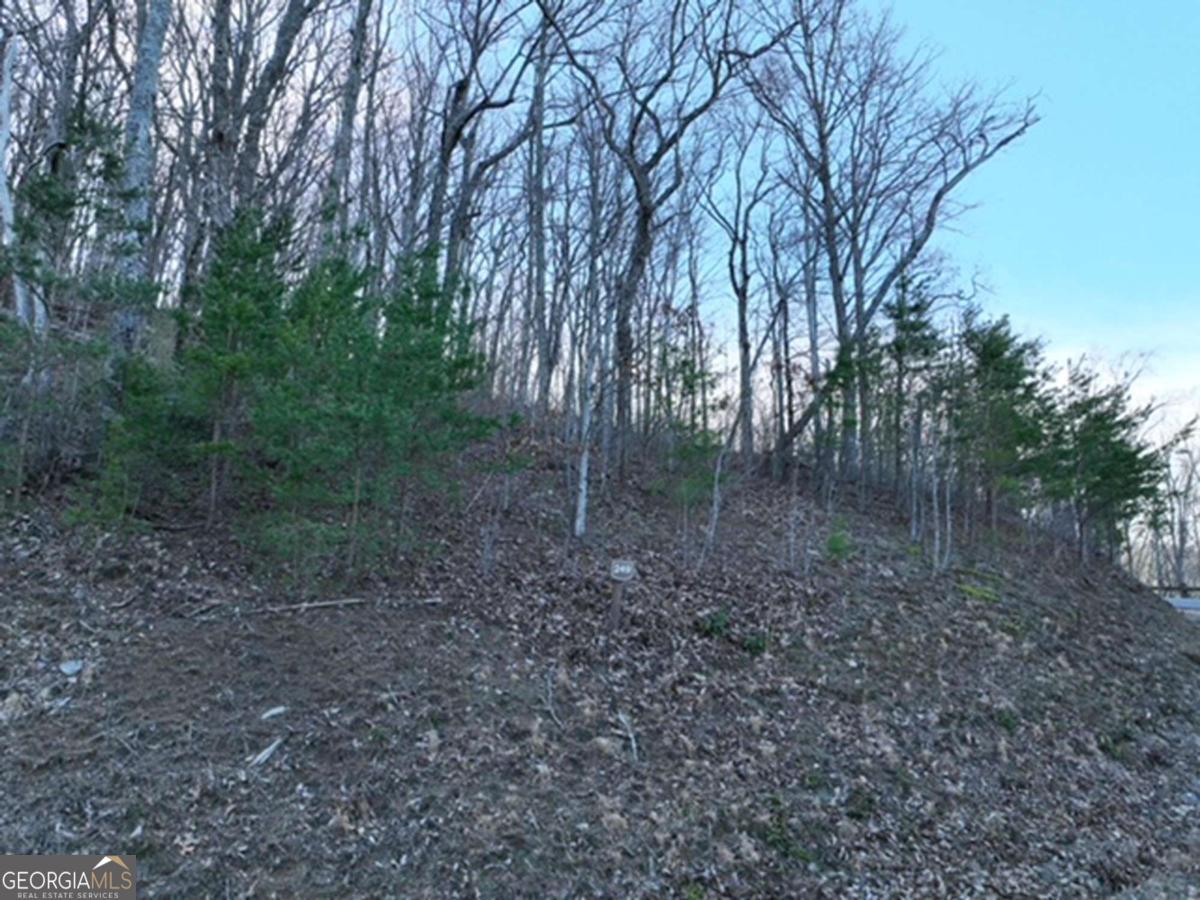 249 Andes Ridge Property Photo 2