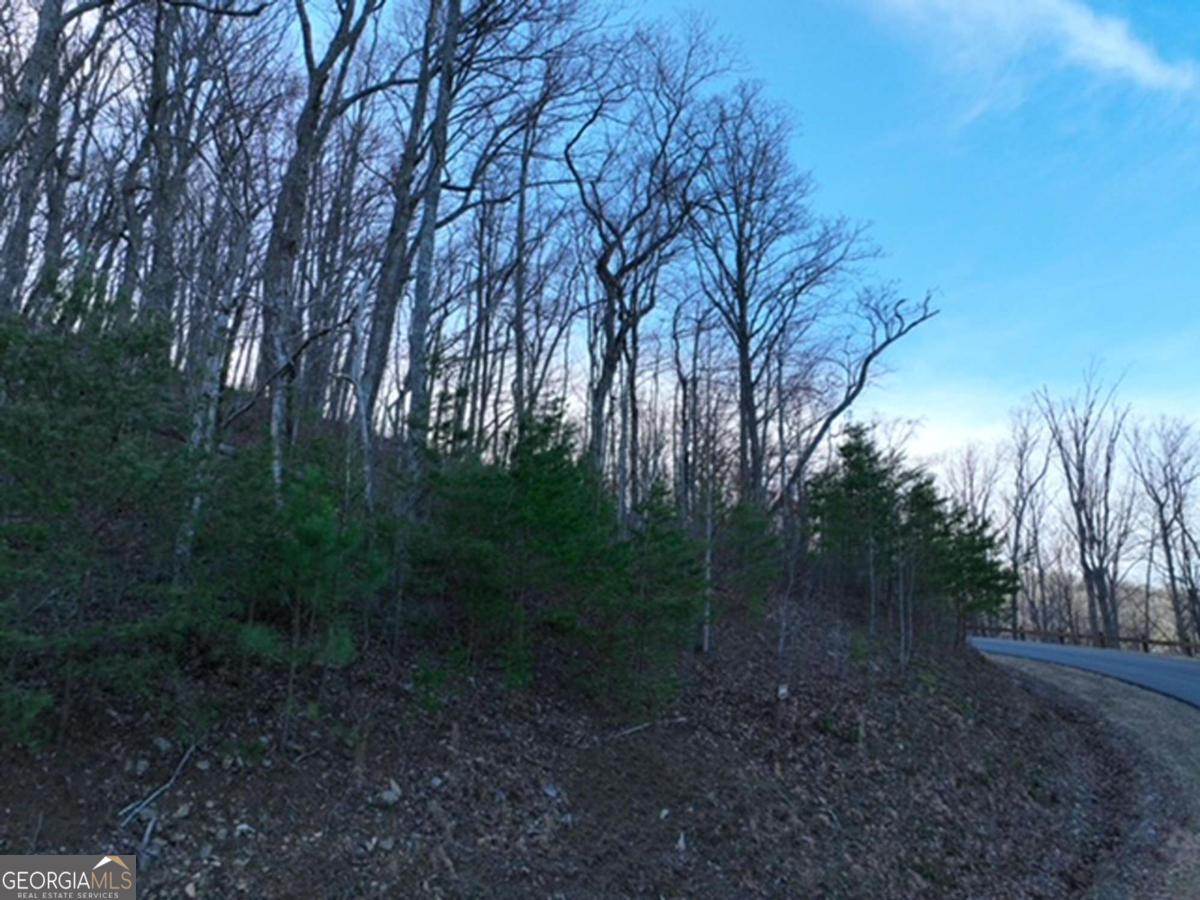 249 Andes Ridge Property Photo 7