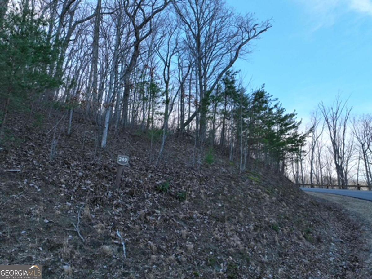 249 Andes Ridge Property Photo 8