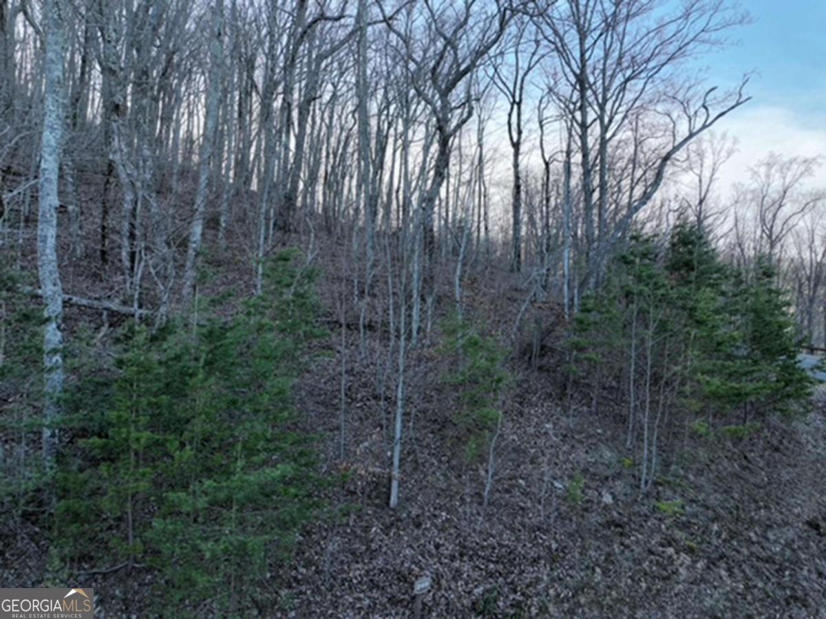 249 Andes Ridge Property Photo 9