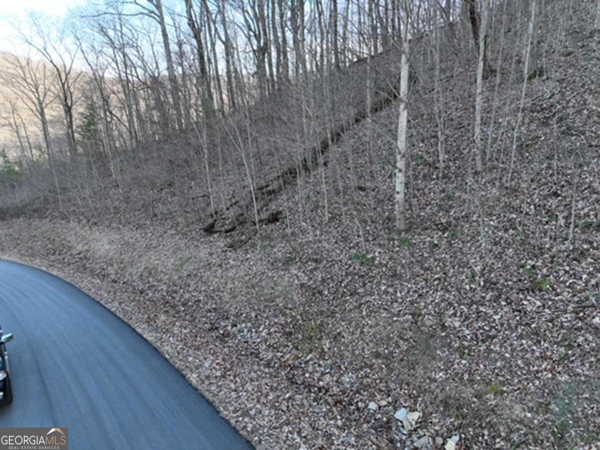 249 Andes Ridge Property Photo 14