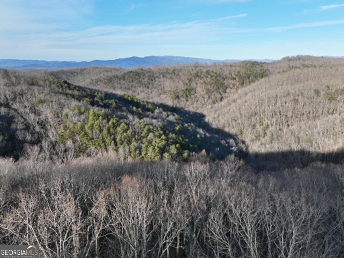 249 Andes Ridge Property Photo 17