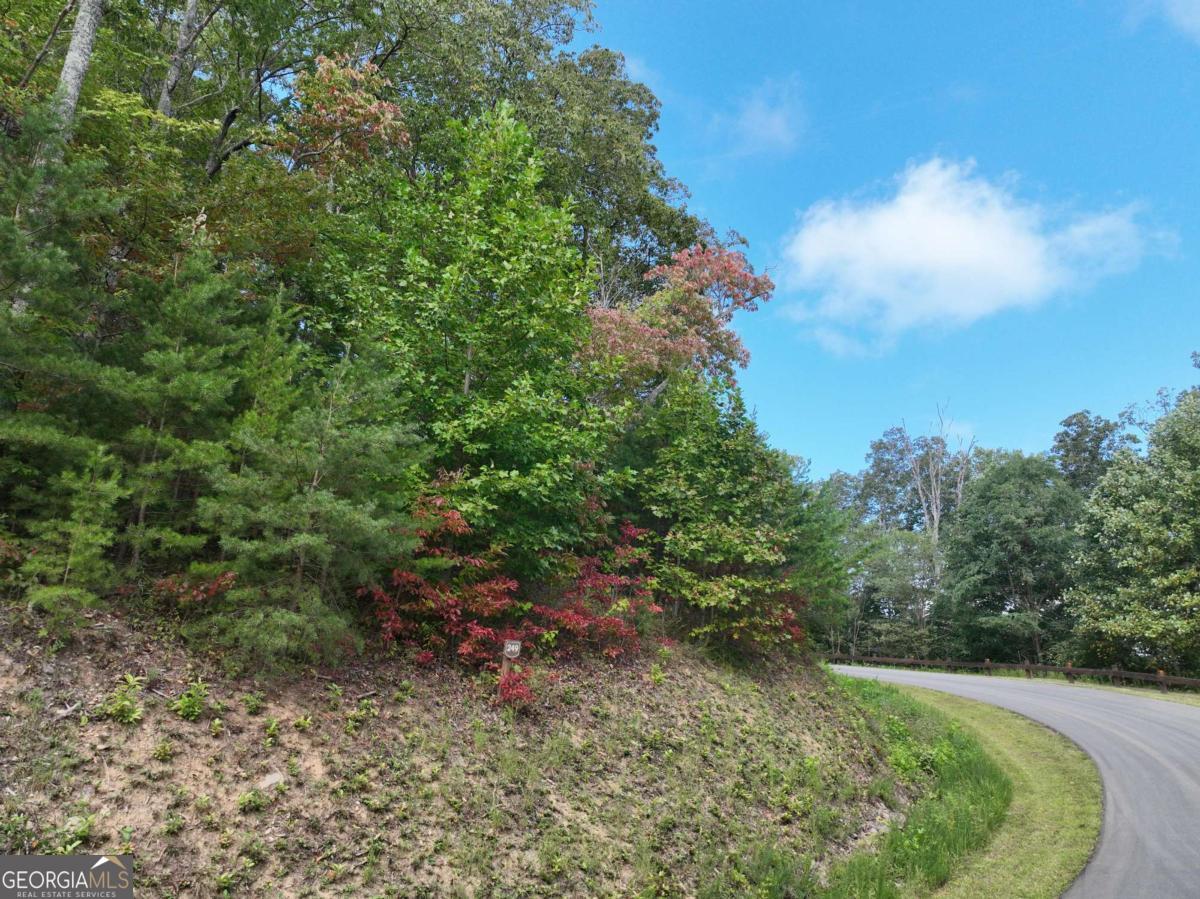 249 Andes Ridge Property Photo 19