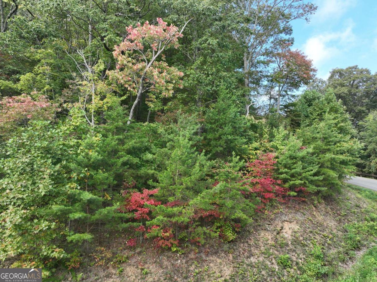 249 Andes Ridge Property Photo 20