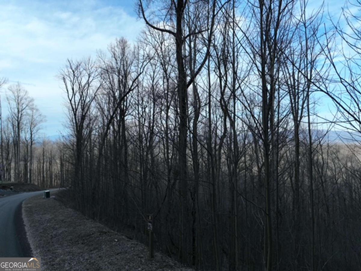 279 Andes Ridge Property Photo 4