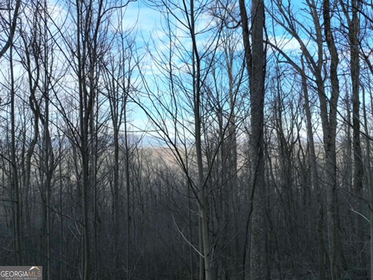279 Andes Ridge Property Photo 5