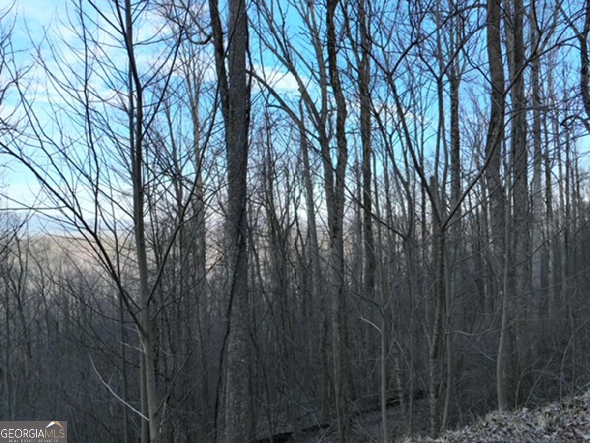 279 Andes Ridge Property Photo 6