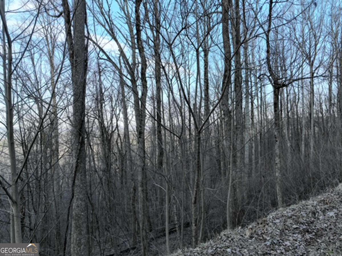 279 Andes Ridge Property Photo 7