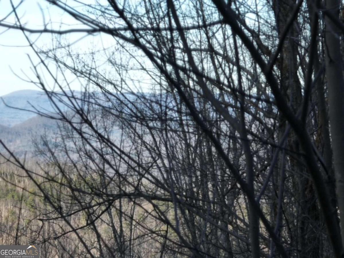 279 Andes Ridge Property Photo 8