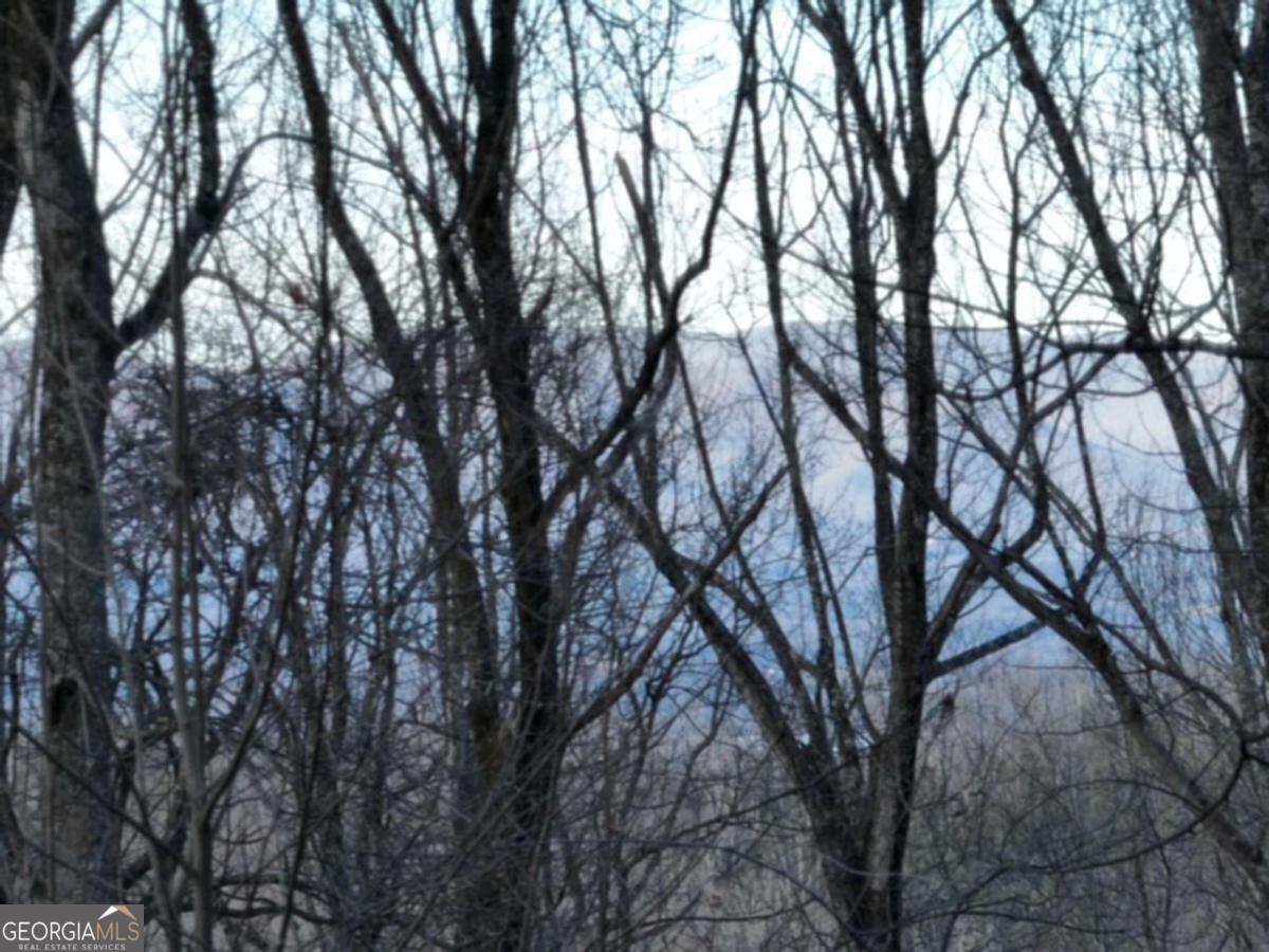 279 Andes Ridge Property Photo 11