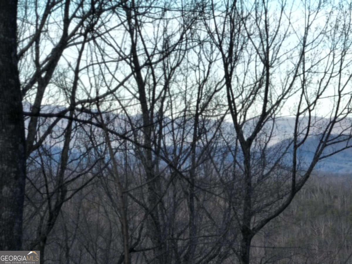 279 Andes Ridge Property Photo 12