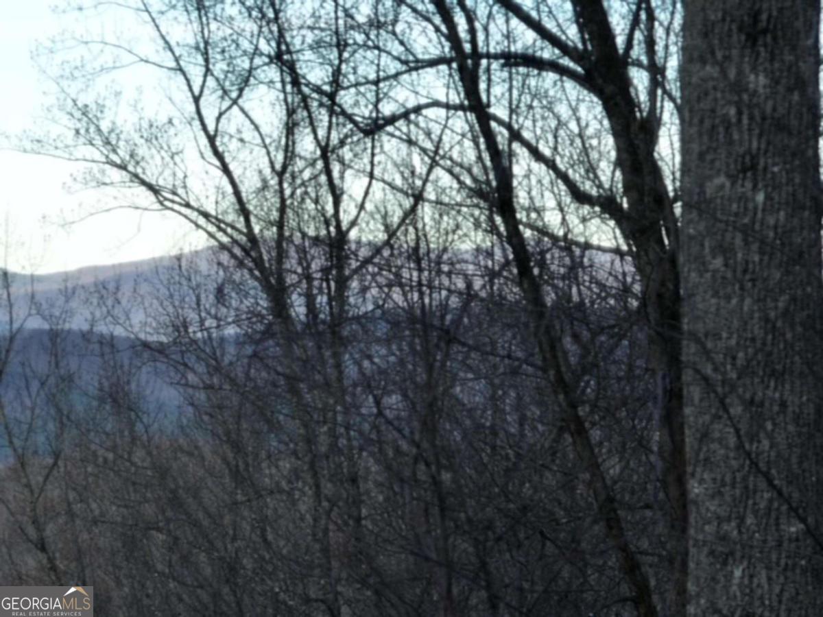 279 Andes Ridge Property Photo 15