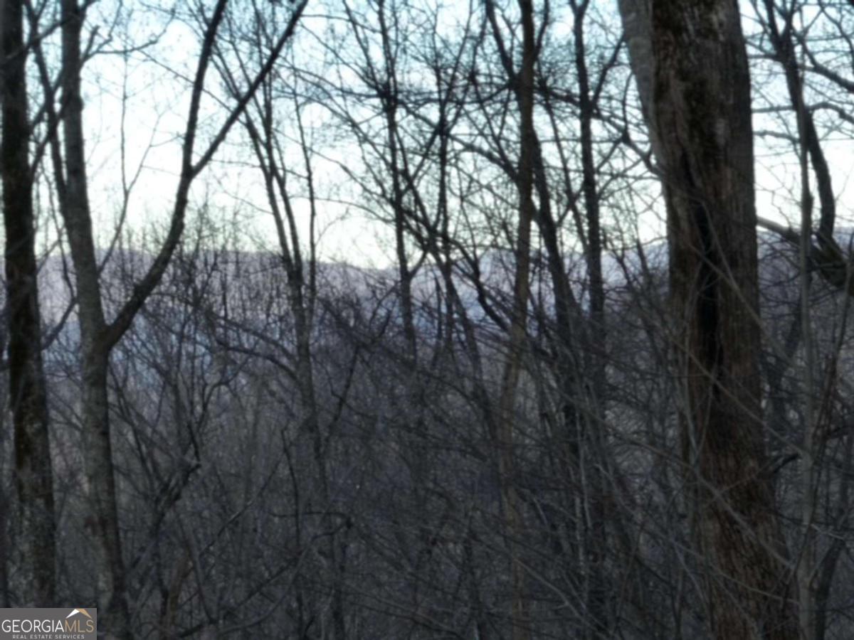 279 Andes Ridge Property Photo 17