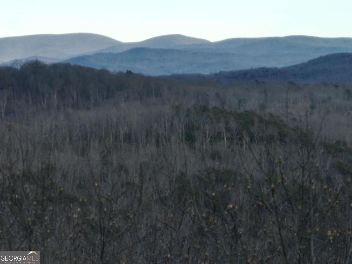 279 Andes Ridge Property Photo 28