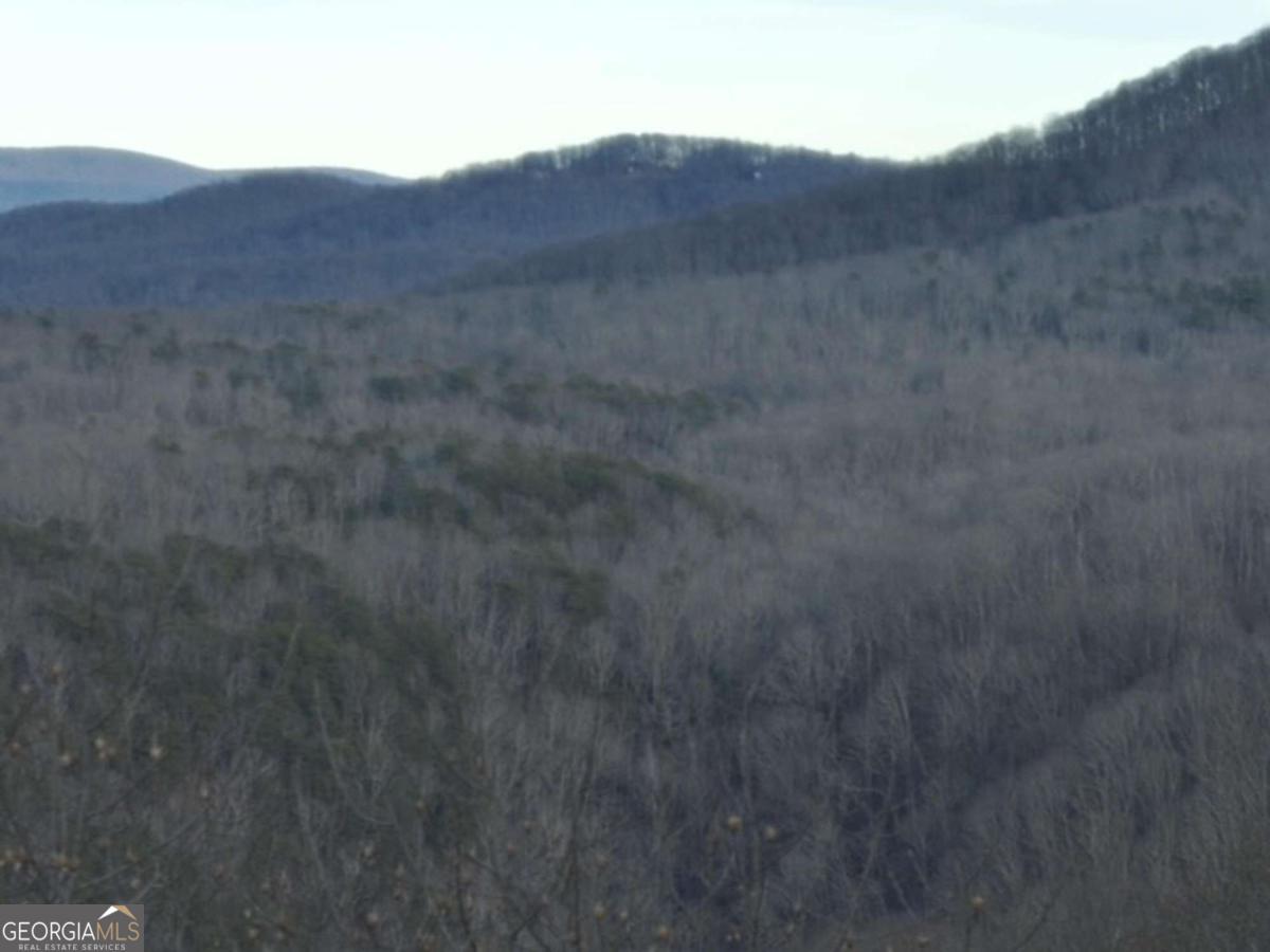 279 Andes Ridge Property Photo 29