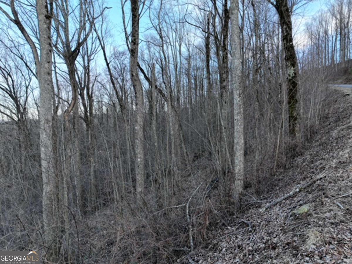279 Andes Ridge Property Photo 30