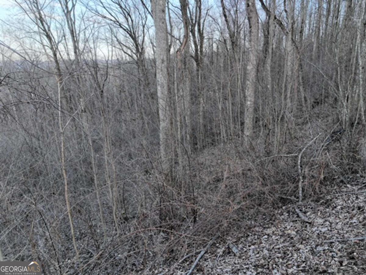 279 Andes Ridge Property Photo 31