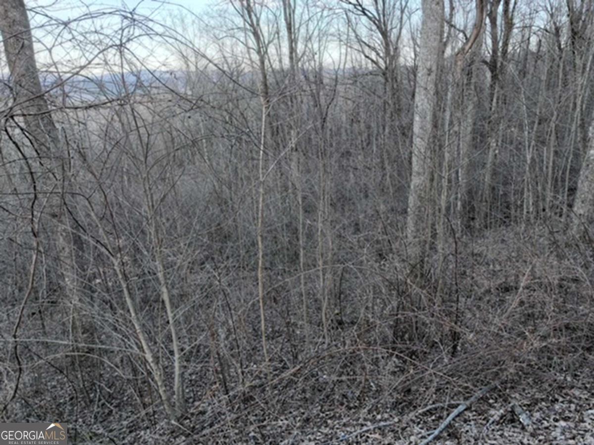 279 Andes Ridge Property Photo 32