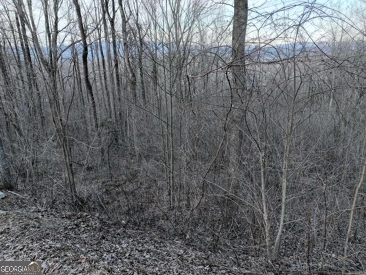 279 Andes Ridge Property Photo 33