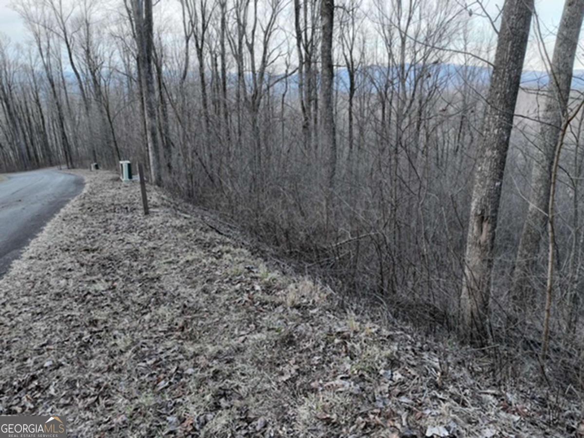 279 Andes Ridge Property Photo 34