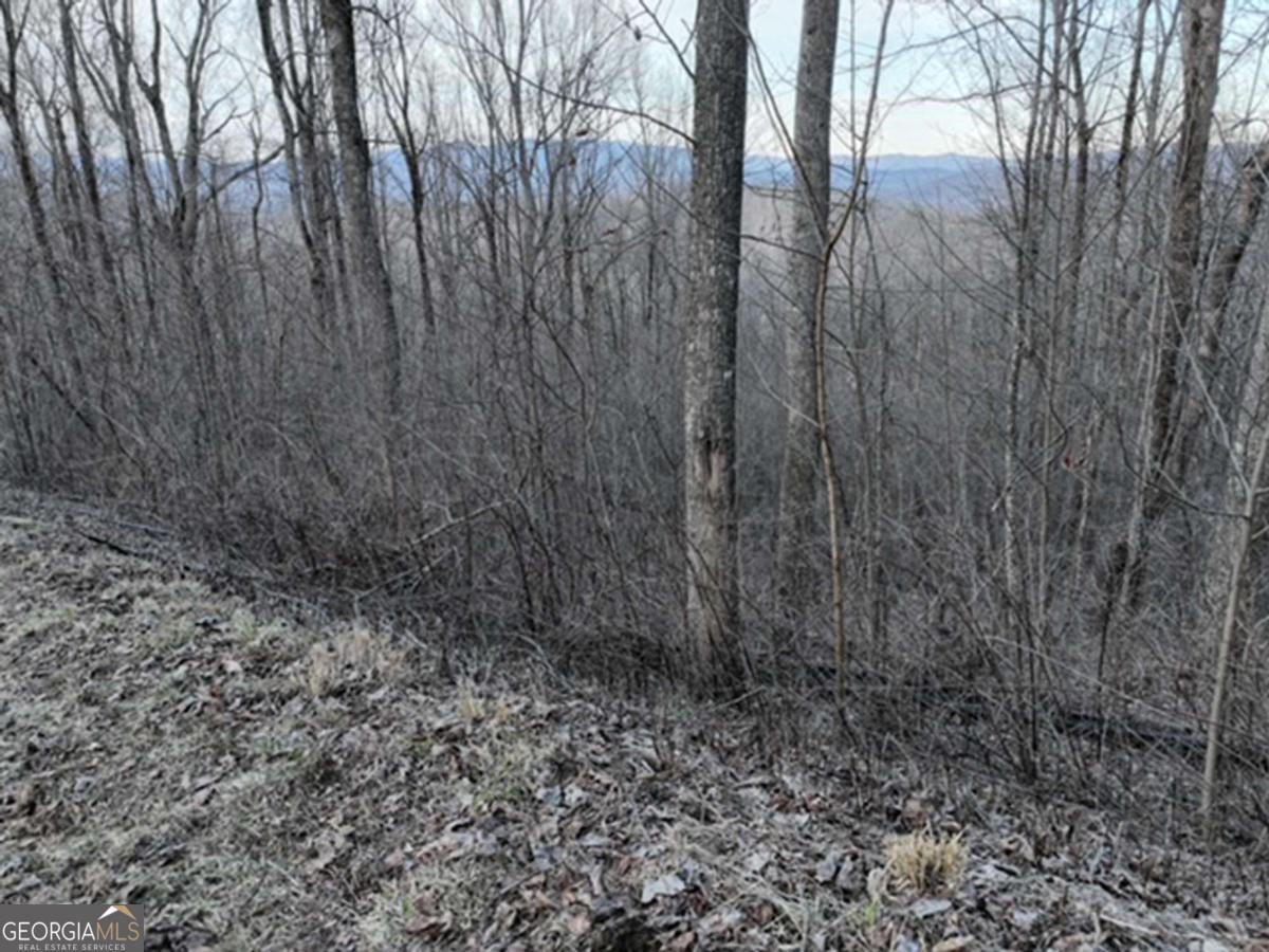 279 Andes Ridge Property Photo 35