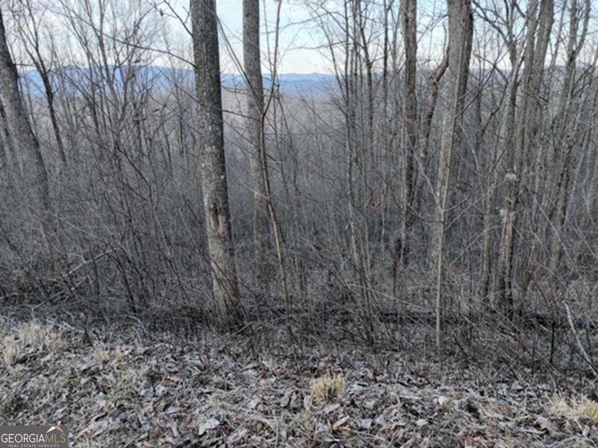279 Andes Ridge Property Photo 36
