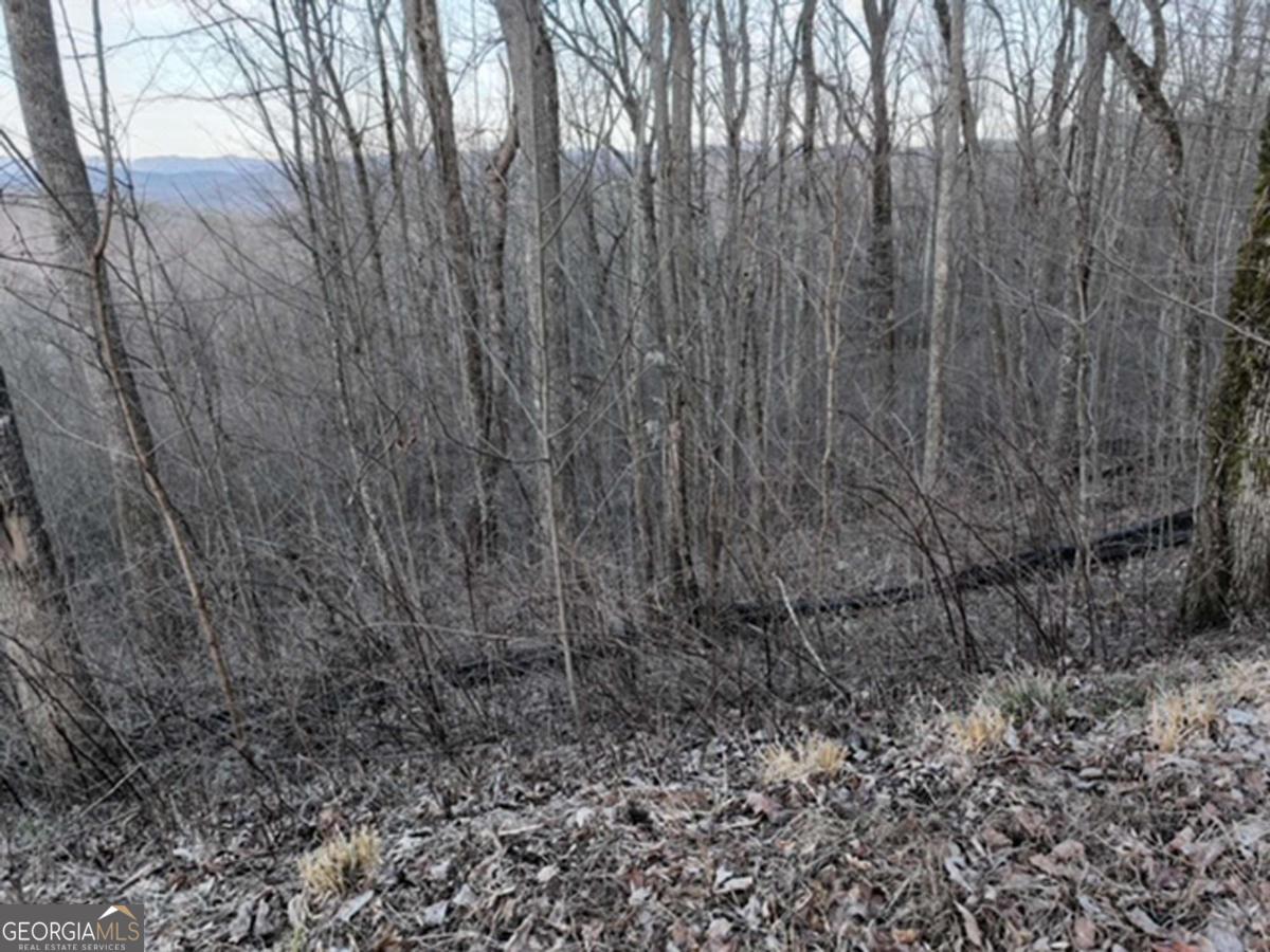 279 Andes Ridge Property Photo 37