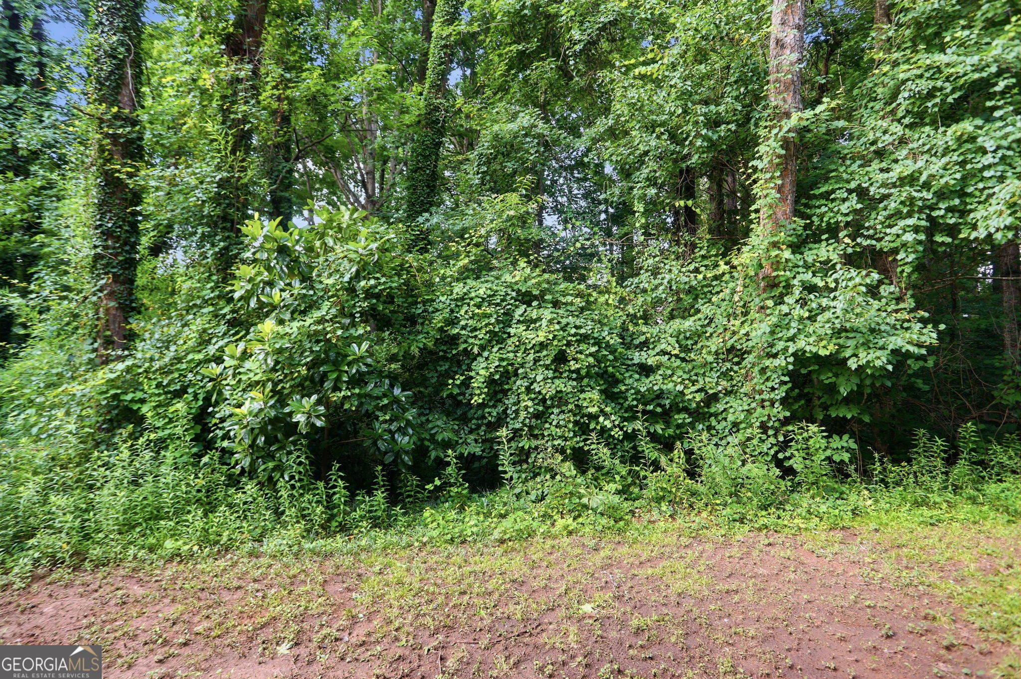 5389 Martins Crossing Road Property Photo 32
