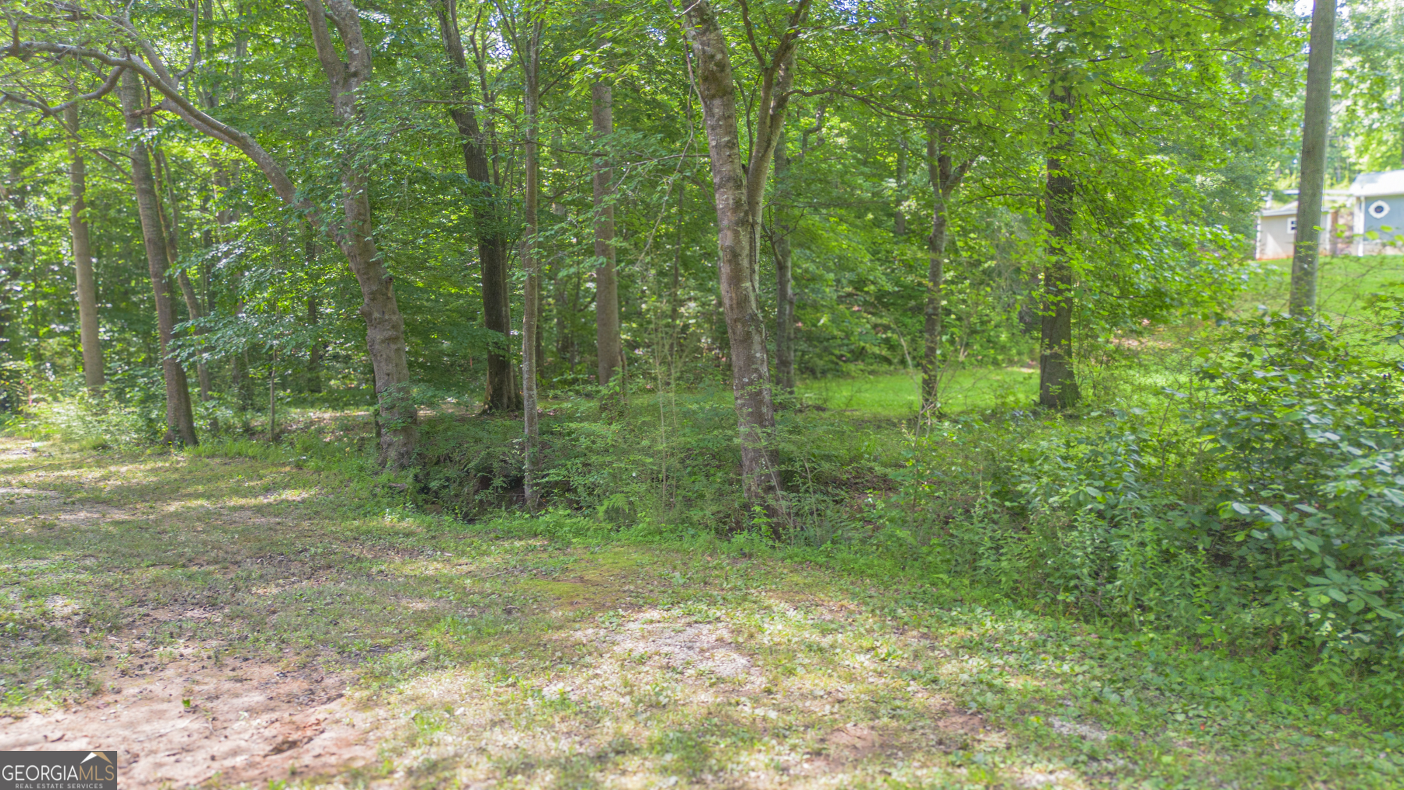 717 County Road 137 Property Photo 13