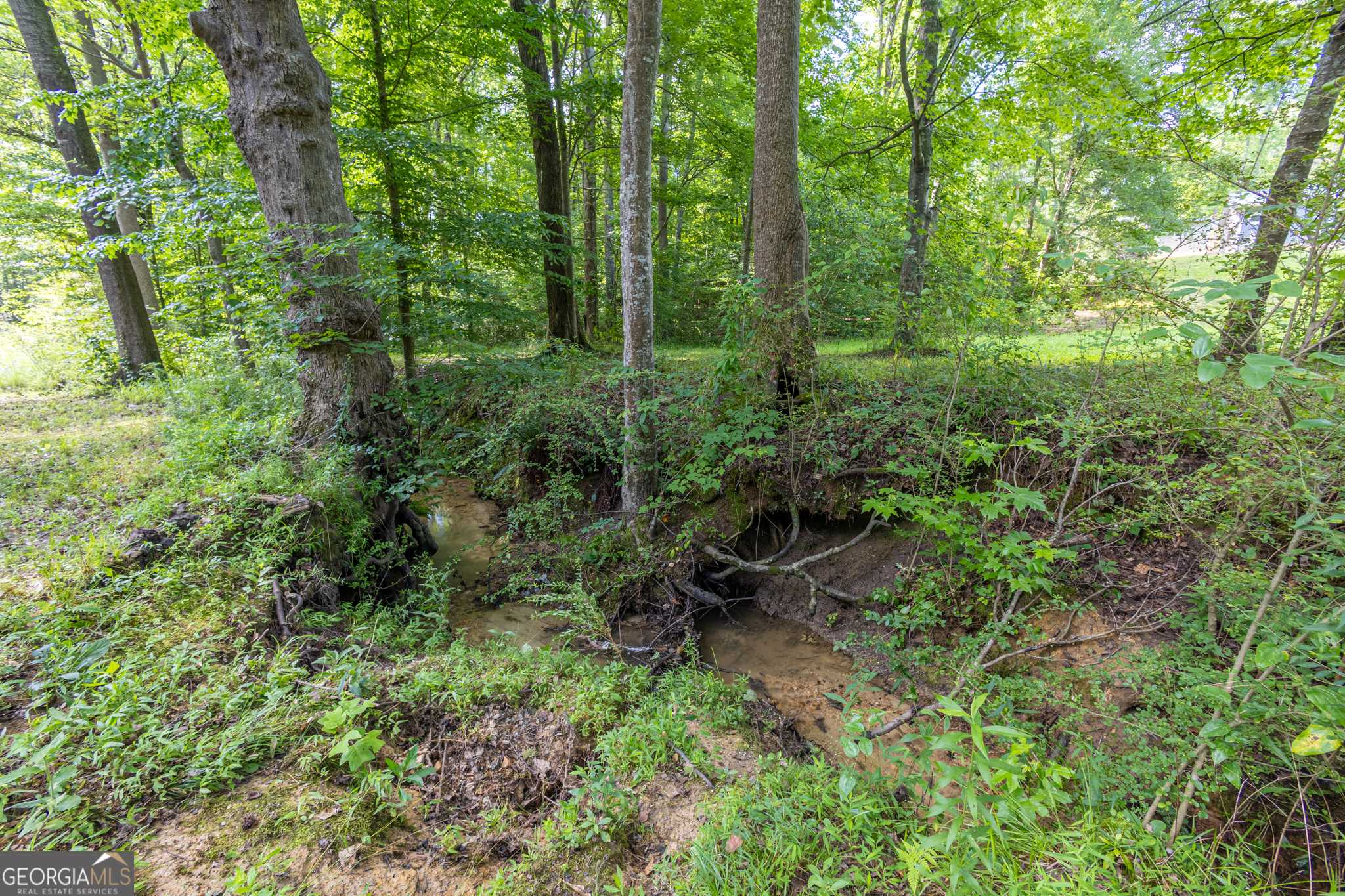 717 County Road 137 Property Photo 17