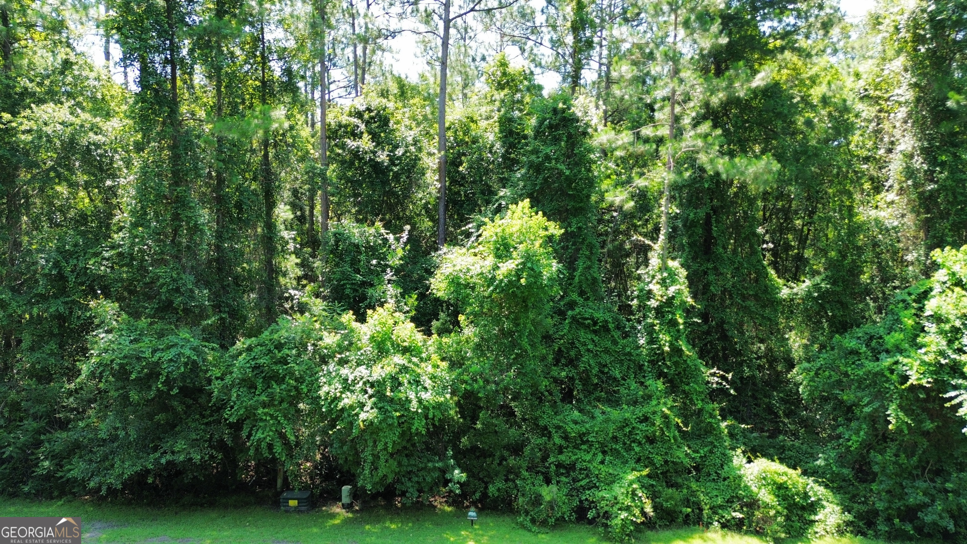 183 Sunrise Drive Property Photo 3