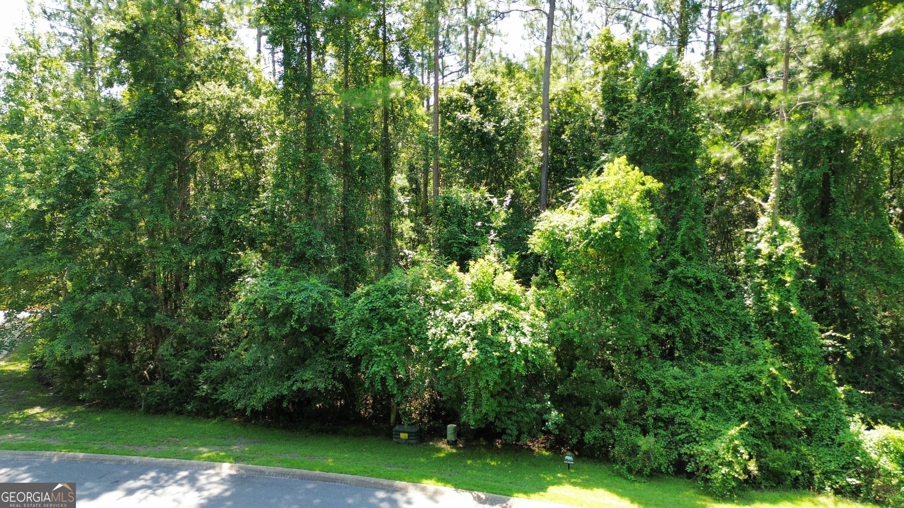 183 Sunrise Drive Property Photo 5