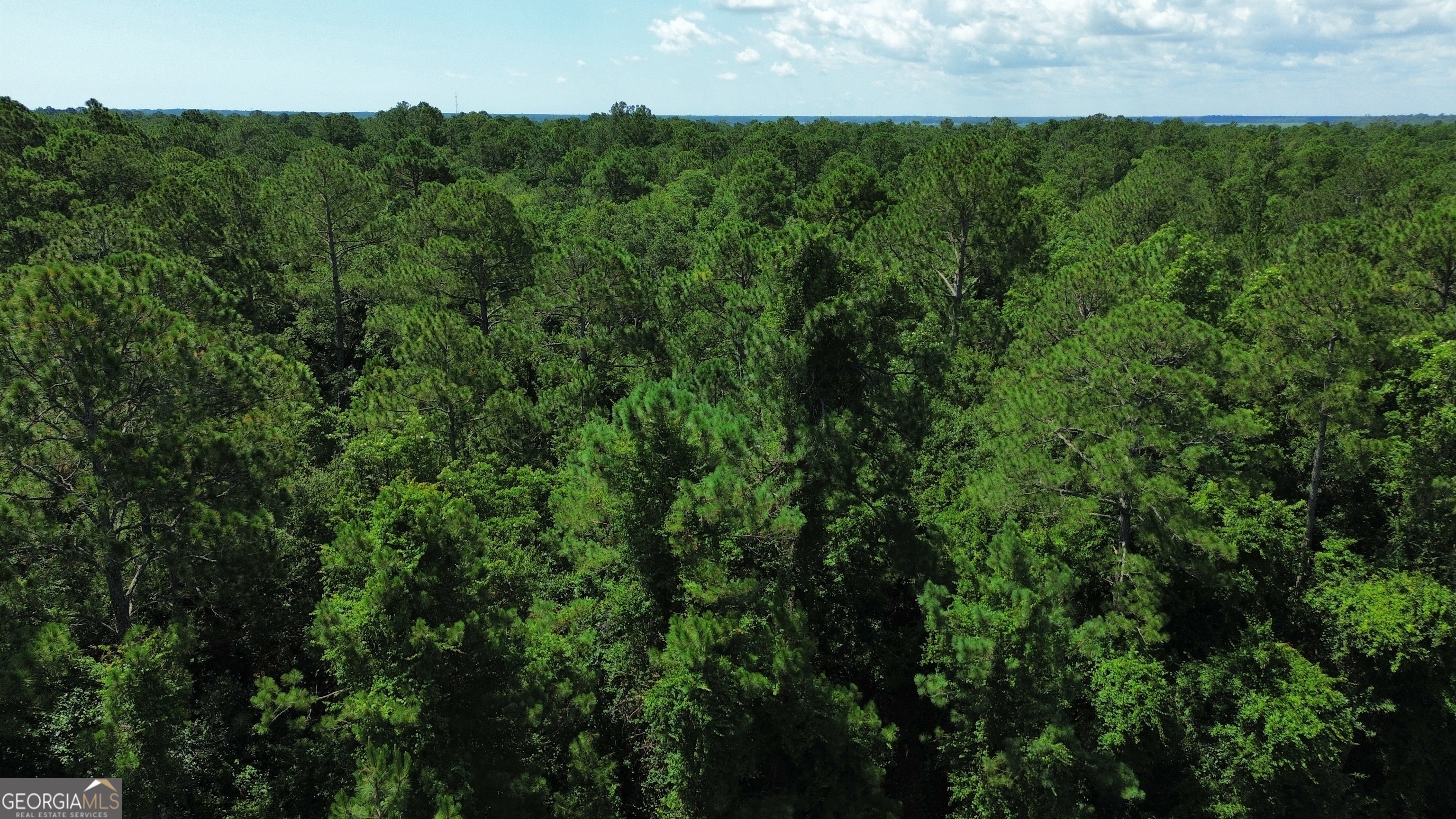183 Sunrise Drive Property Photo 8