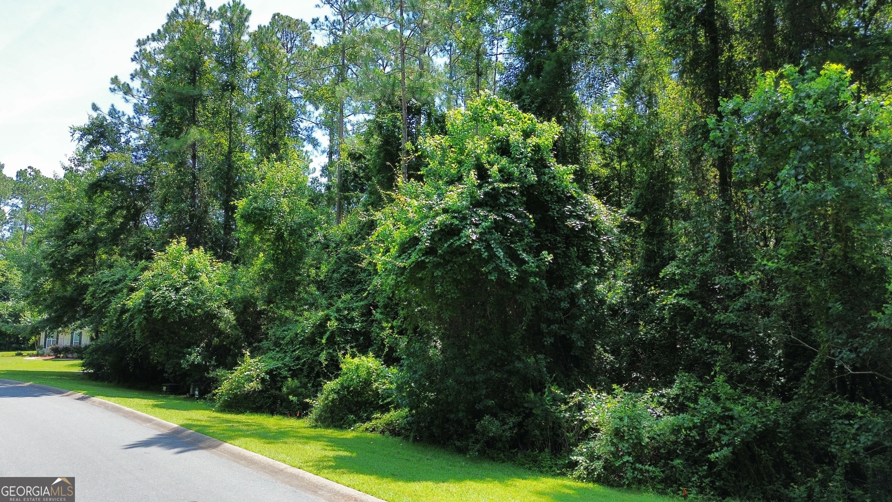 183 Sunrise Drive Property Photo 22