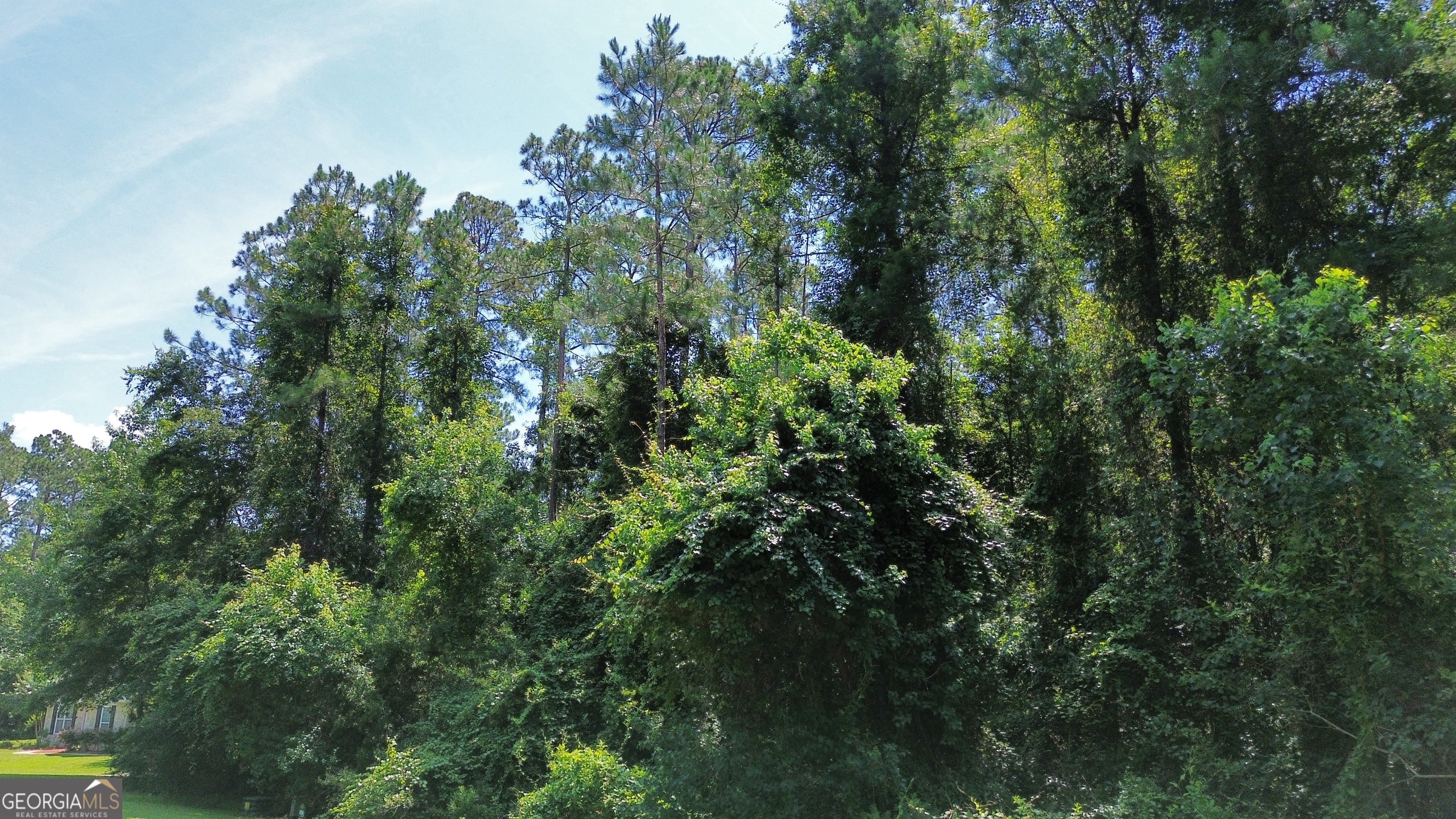 183 Sunrise Drive Property Photo 23