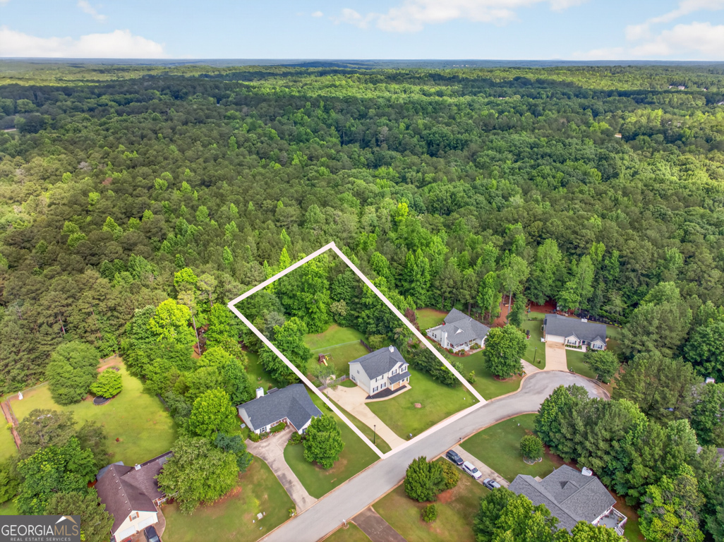 65 Hillock Court Property Photo 61