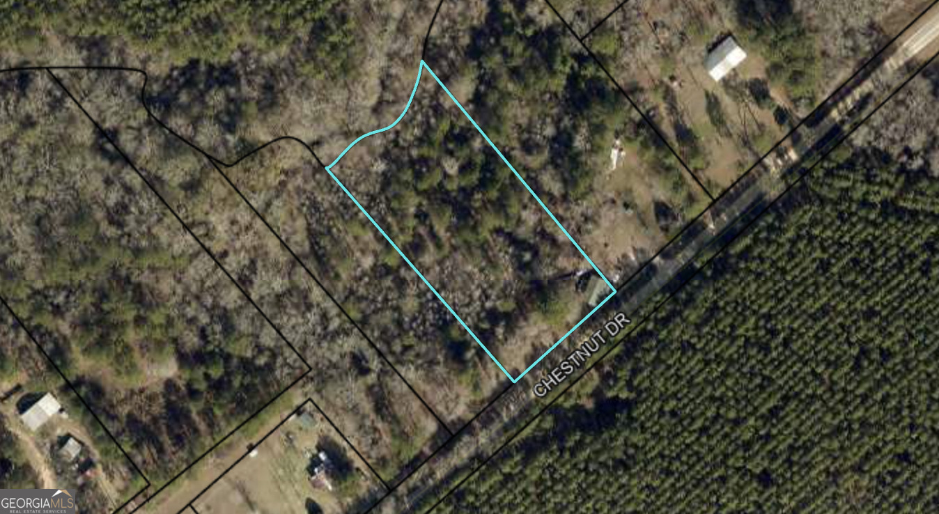 0 Chestnut Drive Property Photo 2