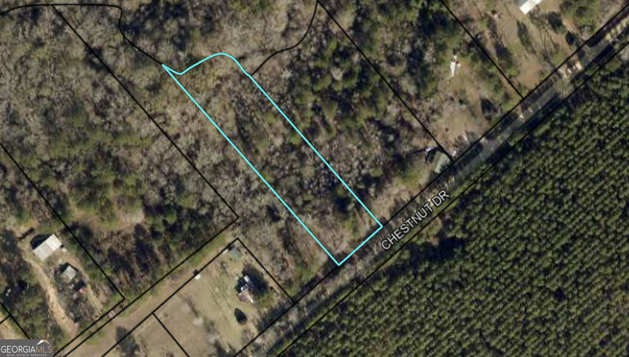 0 Chestnut Drive Property Photo 3