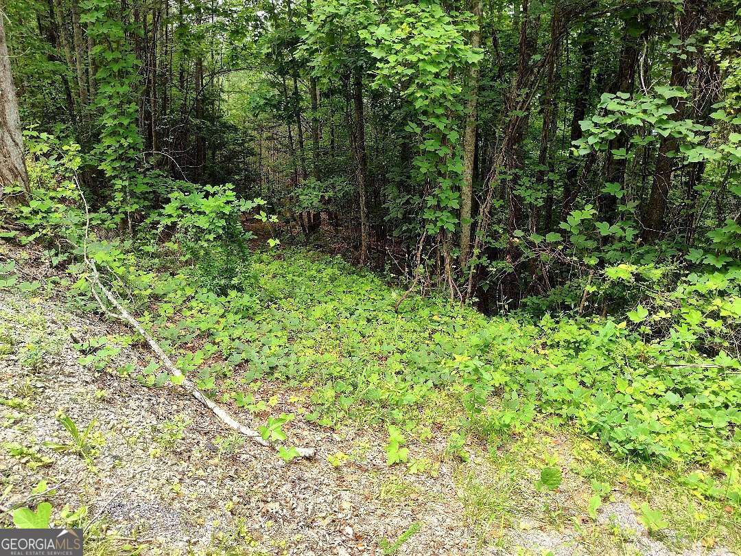 330 Adair Drive Property Photo 2