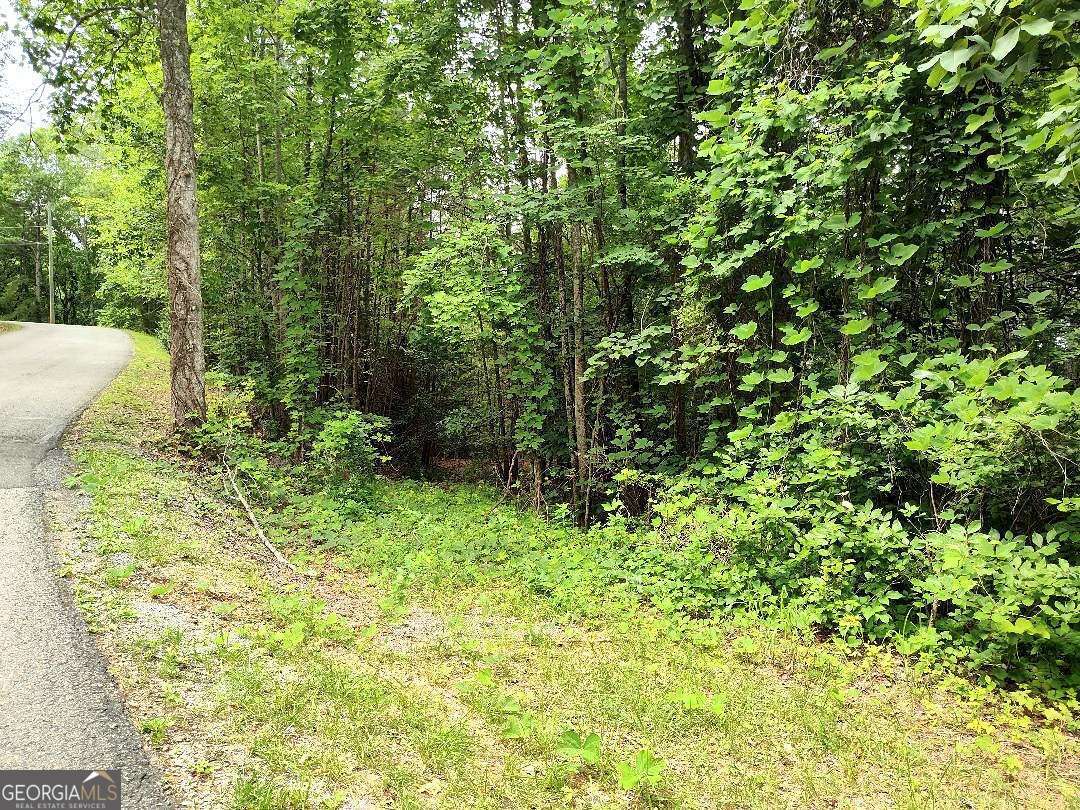 330 Adair Drive Property Photo 4