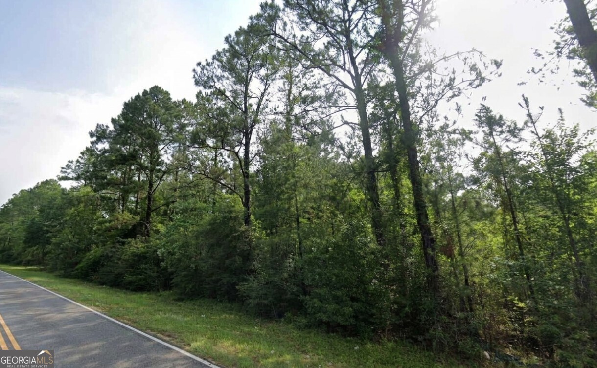 0 Jack Williams Road Lot 35 Property Photo 3