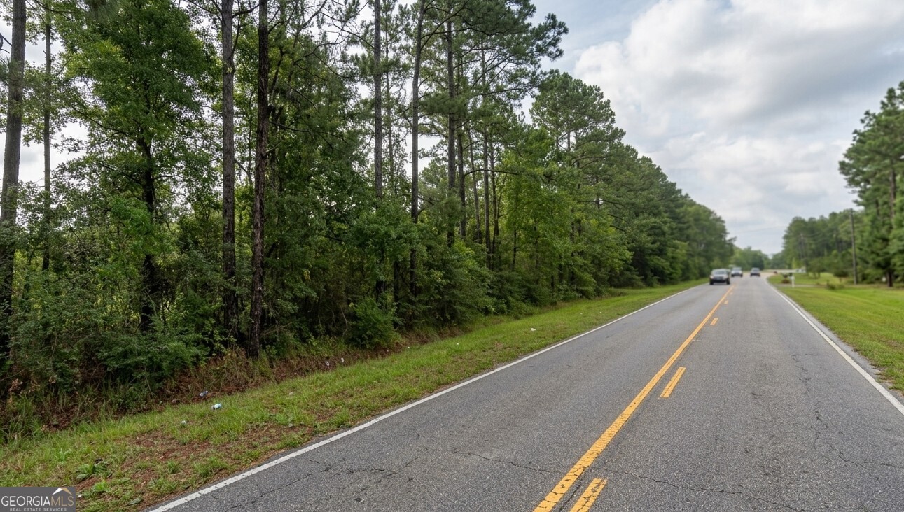0 Jack Williams Road Lot 35 Property Photo 4